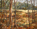 Tending to the Understory
