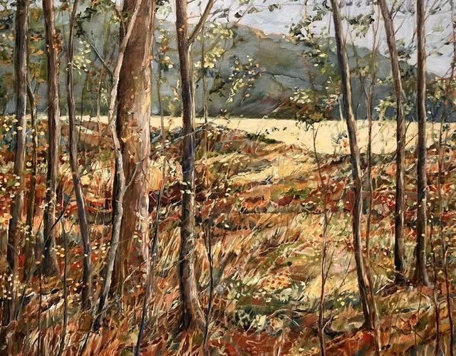 Tending to the Understory